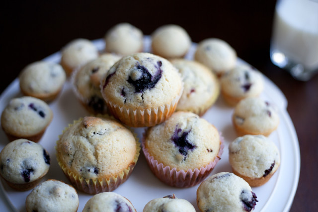 Cranberry Blueberry Muffin Recipe